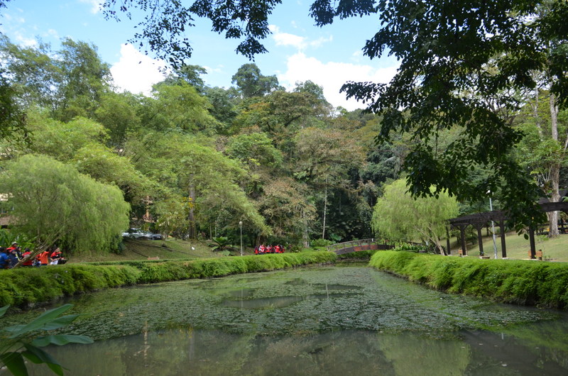 0425 DSC 5738